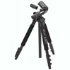 �ץ� 250 DXIII