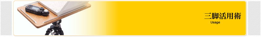 ���ӳ��ѽ�