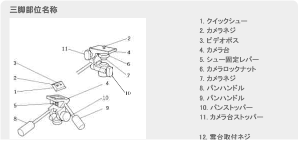 �O�r���ʖ���